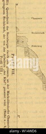 Immagine di archivio da pagina 27 del die Liasmulde von Markeldendorf bei. Die Liasmulde von Markeldendorf bei Einbeck . dieliasmuldevonm00emer Anno: 1870 26 nauer Uebereinstimmung, besitzen die Geoden eine vollkom- menere Septarienausbildung als die der Thonschicht 7. Il prof. I. bei Odagsen. Da sie aber am letzten P'undorte eben così häufig und gross sind und allein in dieser Schicht eine solche Grösse erreichen (0,4-0,5 metri Durchmesser), und da die Septarien- bildung sich hier auch hin und wieder einstellt, wenn auch nicht in modo ausgezeichnet, muss ich dieselbe als lokale Ausbildungs- weise ansehen ; zw Foto Stock