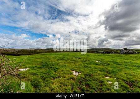 Vista di una valle del Burren con rocce calcaree tra l'erba verde, Geoparks e Geosite, Wild Atlantic modo, splendida giornata di primavera Foto Stock