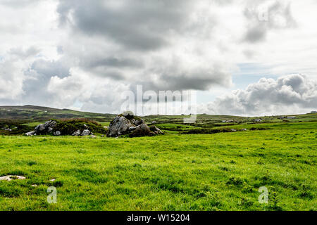 Vista di un prato in The Burren con grandi rocce calcaree tra l'erba verde, Geoparks e Geosite, Wild Atlantic modo, splendida giornata di primavera Foto Stock