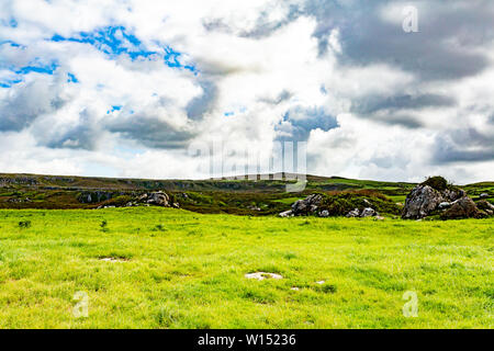 Vista di un prato in The Burren con grandi rocce calcaree tra l'erba verde, Geoparks e Geosite, Wild Atlantic modo, splendida giornata di primavera Foto Stock