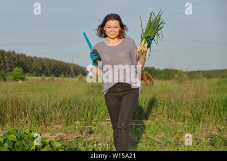 Donna matura agricoltore a piedi attraverso il giardino con verde di erba cipollina fresca cipolla. Organici naturali alimenti sani. Molla esterna, orto, golden ho Foto Stock