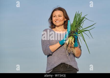 Donna matura agricoltore a piedi attraverso il giardino con verde di erba cipollina fresca cipolla. Organici naturali alimenti sani. Molla esterna, orto, golden ho Foto Stock