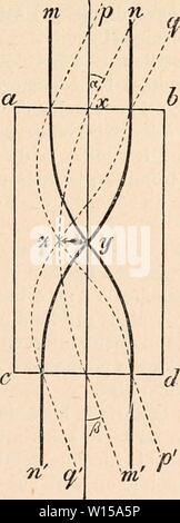 Immagine di archivio da pagina 130 di Dictionnaire de physiologie (1902). Dictionnaire de physiologie . dictionnairedeph05ricco anno: 1902 Fig 76. Fig. 77. Foto Stock