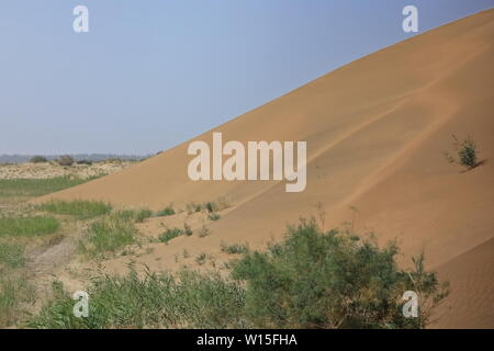Spostamento dune di sabbia-deserto Takla Makan. Contea di Yutian Keriya-regione di Xinjiang Uyghur-Cina-0250 Foto Stock
