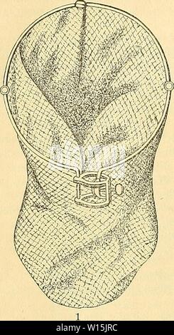 Immagine di archivio da pagina 159 di Deutsche entomologische National-Bibliothek [Rundschau. Deutsche entomologische National-Bibliothek : [Rundschau im Gebiete der Insektenkunde mit besonderer Berücksichtigung der Literatur] . deutscheentomolo11121910scha Anno: 1910 - 86 - sind. Dasselbe hat einen Durchmesser von ca. 32 cm; der Bü£rel ist zweiteilig zusammenlegbar und verzinnt. Das Schöpfen mit dem Kätscher gibt in den Tropen auf nicht zu stark bewachsenem Gelände sehr gute Resultate; in vielen Fällen ist es jedoch wegen der überall häufigen Dornen nicht ausführbar. Foto Stock