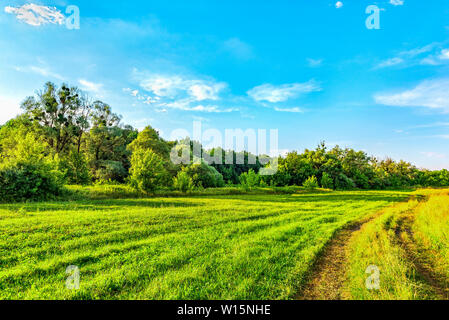 Country Road sul prato Foto Stock