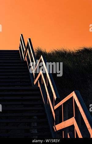 Silhouette di erba alta e scale di legno salendo su una duna di sabbia sulla isola di Sylt in Germania Foto Stock