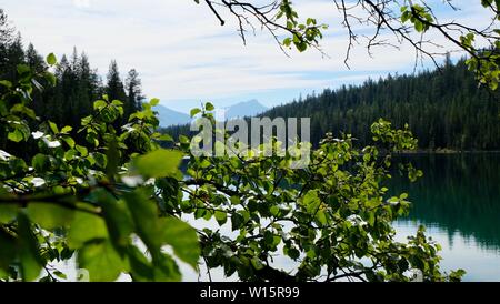 Uno dei cinque - Valle dei Cinque Laghi Foto Stock