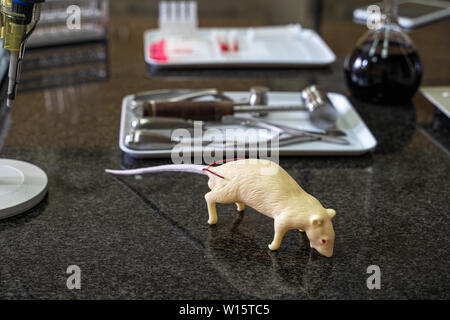 Laboratorio artificiale di ratto e di strumenti chirurgici impostato sul piano di lavoro di laboratorio, attrezzature da laboratorio e vetreria in background Foto Stock