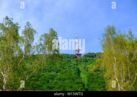 Le comunicazioni e la torre televisiva sulla cima della montagna, rosso e bianco dell'antenna sulla parte superiore della pendenza forrested, Boc in Slovenia Foto Stock