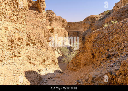 Sesriem Canyon, creata dopo un fiume sotterraneo ha eroso il sottosuolo portano al crollo del terreno. Sesriem, Namibia Foto Stock