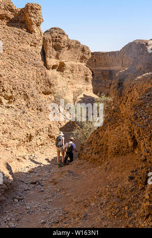 Sesriem Canyon, creata dopo un fiume sotterraneo ha eroso il sottosuolo portano al crollo del terreno. Sesriem, Namibia Foto Stock