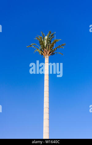 Telefono cellulare antenna dissimulata come una grande palma con foglie, Langstrand, Namibia Foto Stock