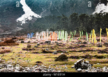 Valle Lachung Foto Stock