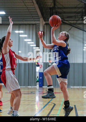 Azione di basket presso il Washington State 2A e 3A TUTTE LE Star Game in Liberty Lago, Washington. Foto Stock