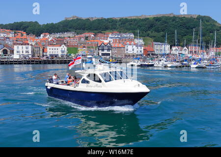 La Becca Marie Sealife Safari gite in barca da Scarborough. Foto Stock