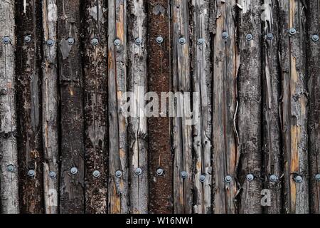 Una parete è creato utilizzando tagliare rami di alberi allineati in fila. Foto Stock