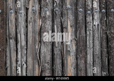 Una parete è creato utilizzando tagliare rami di alberi allineati in fila. Foto Stock