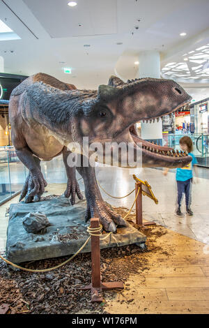 Lodz, Polonia, maggio 2019 Allosaurus dino, shopping entertainment center SUKCESJA, carnivoro theropod dinosauro, Allosaurus fragilis, Allosauridae Foto Stock