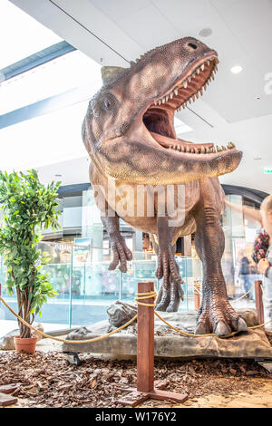 Lodz, Polonia, maggio 2019 Allosaurus dino, shopping entertainment center SUKCESJA, carnivoro theropod dinosauro, Allosaurus fragilis, Allosauridae Foto Stock