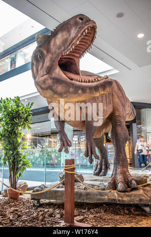 Lodz, Polonia, maggio 2019 Allosaurus dino, shopping entertainment center SUKCESJA, carnivoro theropod dinosauro, Allosaurus fragilis, Allosauridae Foto Stock