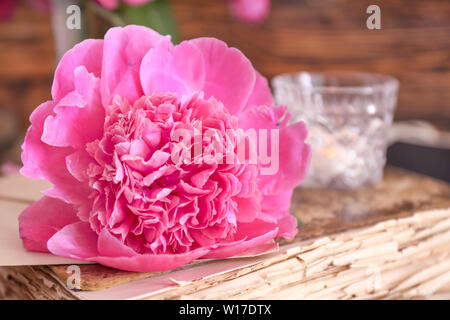 Splendida peonia sul vecchio libro, primo piano Foto Stock