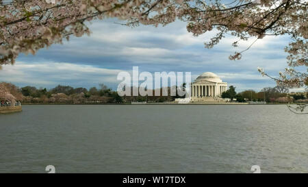 Sera colpo di Jefferson Memorial e ciliegi in fiore Foto Stock