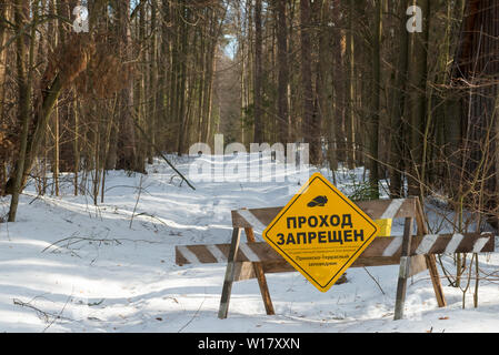 Distretto di Mosca, Russia - 25 Marzo 2019: un blocco di barriera di passaggio su una strada in una foresta di inverno Foto Stock