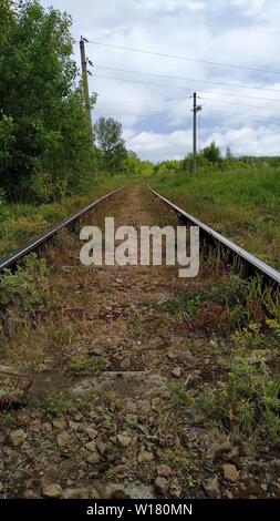 Frammento di una vecchia linea ferroviaria che corre lungo il campo in corrispondenza del bordo della foresta. Foto Stock