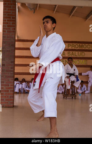 Okinawense Gojo Ryu Karate in Penonome, Cocle Affitto provincia, Repubblica di Panama. La scuola di karate era guidata dal Sensei Carlos Martinez, scomparso in febbraio, 2017. La scuola è stata una parte della IOGKF, Internazionale di Okinawa Goju Ryu Karate federazione. Ottobre, 2013. Foto Stock