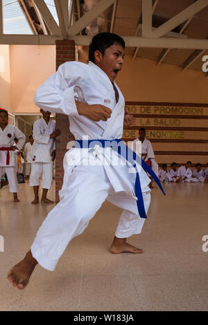 Okinawense Gojo Ryu Karate in Penonome, Cocle Affitto provincia, Repubblica di Panama. La scuola di karate era guidata dal Sensei Carlos Martinez, scomparso in febbraio, 2017. La scuola è stata una parte della IOGKF, Internazionale di Okinawa Goju Ryu Karate federazione. Ottobre, 2013. Foto Stock