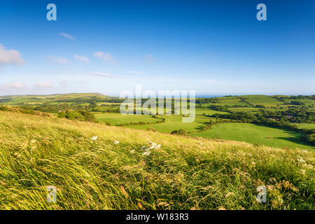La vista dalla cima della collina di Grange vicino a Steeple nella campagna di Dorset, che si affaccia sulla costa a Kimmeridge Foto Stock