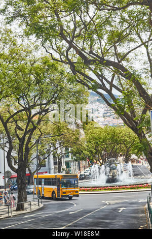 Fontana Rotunda do Infante, Funchal, Madeira, Portogallo, Unione Europea Foto Stock