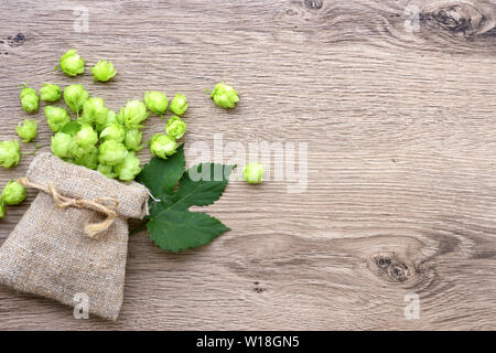 Fresche di coni di luppolo (Humulus) in borsa con lamina sullo sfondo di legno. Vista superiore Foto Stock