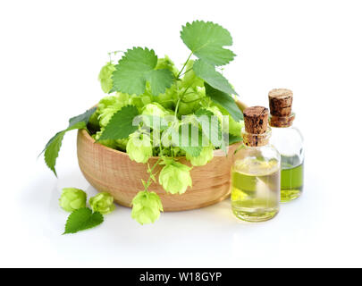 Coni di luppolo (Humulus) con medicinali di estratto vegetale in bottiglie di vetro isolato su sfondo bianco Foto Stock