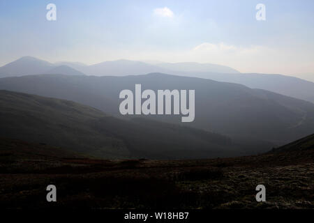 Misty vista sulla foresta Whinnlatter, Parco Nazionale del Distretto dei Laghi, Cumbria, England, Regno Unito Foto Stock