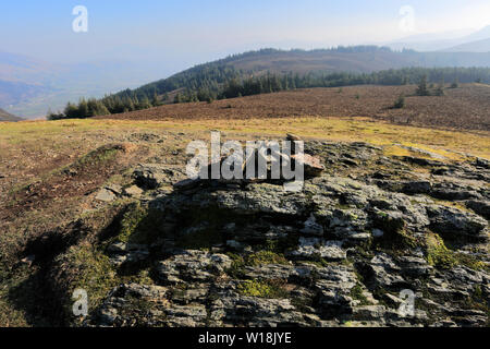 Il vertice dei signori sede cadde, Bassenthwaite lake, Keswick Town, Parco Nazionale del Distretto dei Laghi, Cumbria, England, Regno Unito Foto Stock