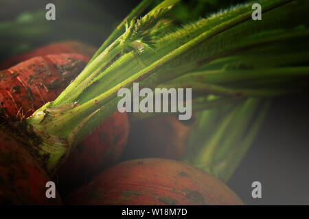 Still Life food shoot. Progettato da Rhys Murphy Foto Stock