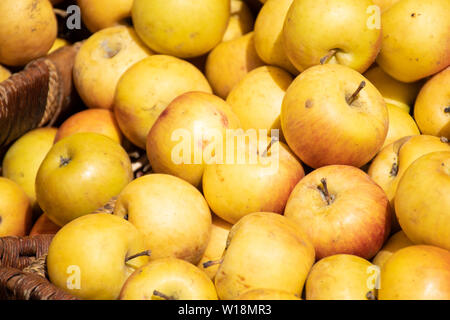 Fresche mele giallo in un imprenditore agricolo di mercato all'aperto e stagionale cibo sano. Concetto di biologici, prodotti bio, bio ecologia Foto Stock