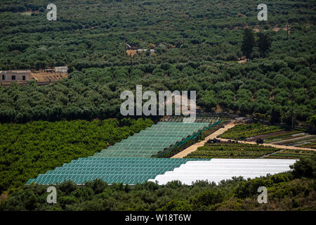 Malia, Creta, Grecia. Giugno 2019. Una panoramica di oliveti e plastica area coperta per la produzione di piante . Un giardino centrale. Foto Stock