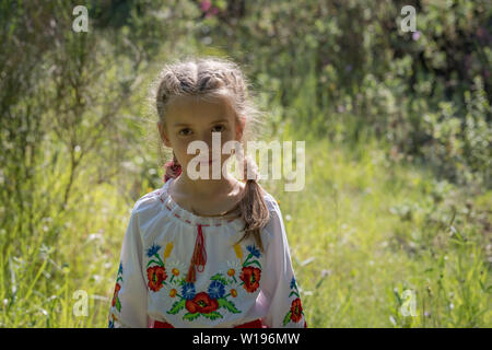 Ragazza in ucraino abito nazionale che pongono in campagna Foto Stock