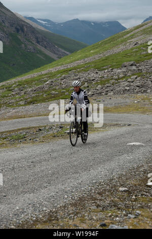 Ciclista maschio privato sulla strada a pedaggio attraverso Vengedalen, vicino ad Andalsnes, Norvegia. Foto Stock