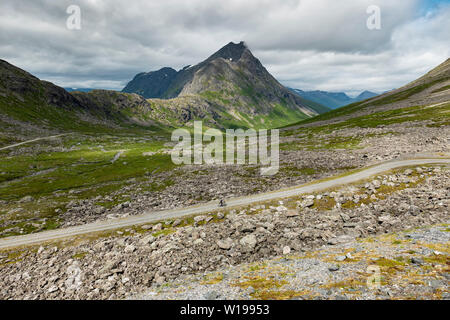 Ciclista maschio privato sulla strada a pedaggio attraverso Vengedalen, vicino ad Andalsnes, Norvegia. Foto Stock