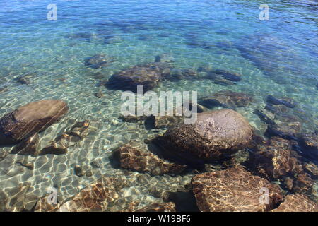 White albero morto giacente su Sand Harbor in California. Il blu chiaro onde si avvicina delicatamente. Foto Stock