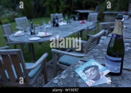 I postumi residui di bicchieri, bottiglie e le piastre all'alba, la mattina dopo un cinquantesimo compleanno, sparsi intorno al giardino nell'Herefordshire campagna, il 23 giugno 2019, a Kington, Herefordshire, Inghilterra. Foto Stock