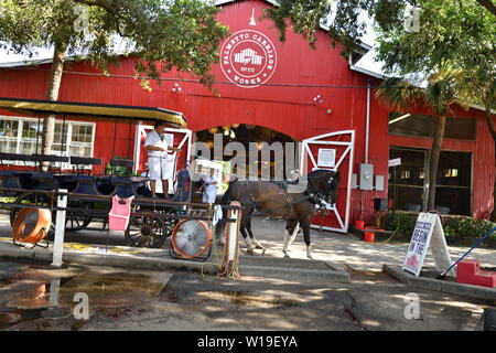 Cavallo e Carrozza lavora per gite turistiche, ventole per raffreddare i cavalli, abbondanza di acqua di balneazione personali di cavalli, maneggio, aprire porte, visitatori benvenuti Foto Stock