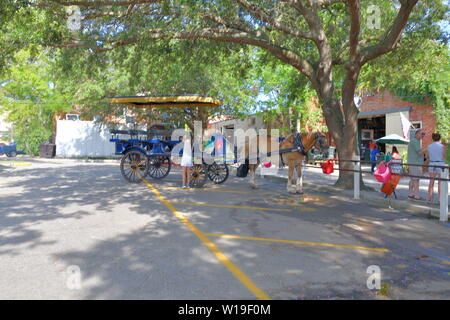 Cavallo e Carrozza lavora per gite turistiche, ventole per raffreddare i cavalli, abbondanza di acqua di balneazione personali di cavalli, maneggio, aprire porte, visitatori benvenuti Foto Stock