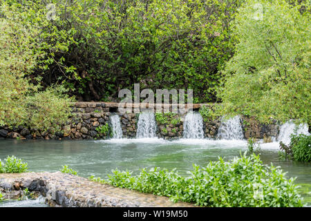 Sullo sfondo della molla di Banias è Pan grotta, dove l'idrovia originato in tempi antichi Foto Stock