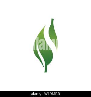 Foglia di Marijuana logo del modello di progettazione Illustrazione Vettoriale