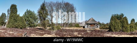 La brughiera di Lüneburg imprime in ogni stagione con impressionanti viste sul paesaggio heath con il solitario e fatiscente vecchio ovile. Foto Stock